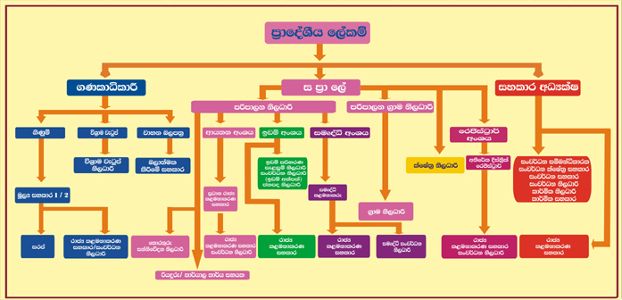 organization chart